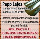 Papp Lajos.jpg